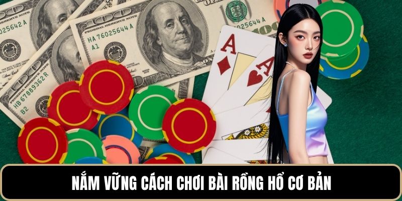 Nắm vững cách chơi bài rồng hổ cơ bản