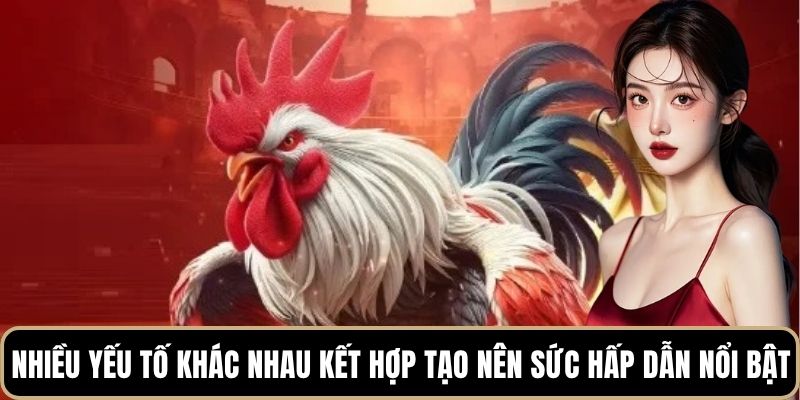Nhiều yếu tố khác nhau kết hợp tạo nên sức hấp dẫn nổi bật