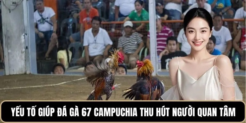 Yếu tố giúp đá gà 67 Campuchia thu hút người quan tâm